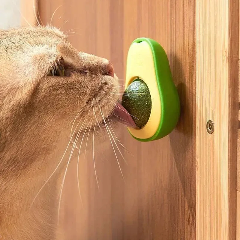 النعناع البري الطبيعي صحي الحيوانات الأليفة القط لعبة الجدار عصا على الكرة القطط تنظيف الأسنان النعناع البري ألعاب كروية القط وجبات خفيفة هريرة القط النعناع البري لعبة #5