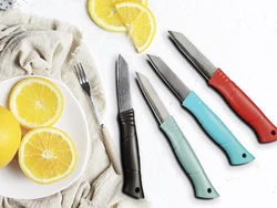 3 Inch Paring Knife 67 Layer Damascus Steel VG10 Steel Core Sharp Utility Vegetable Peeling Fruit Knife Household Tool Canivetes