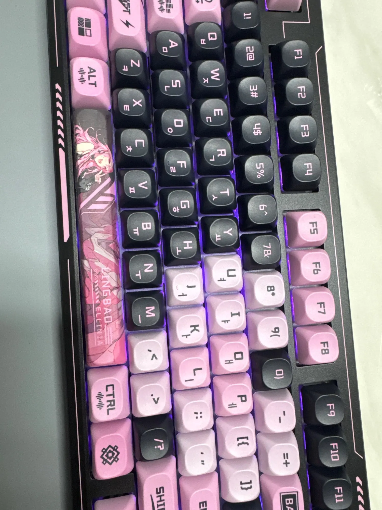 실물 포토 리뷰