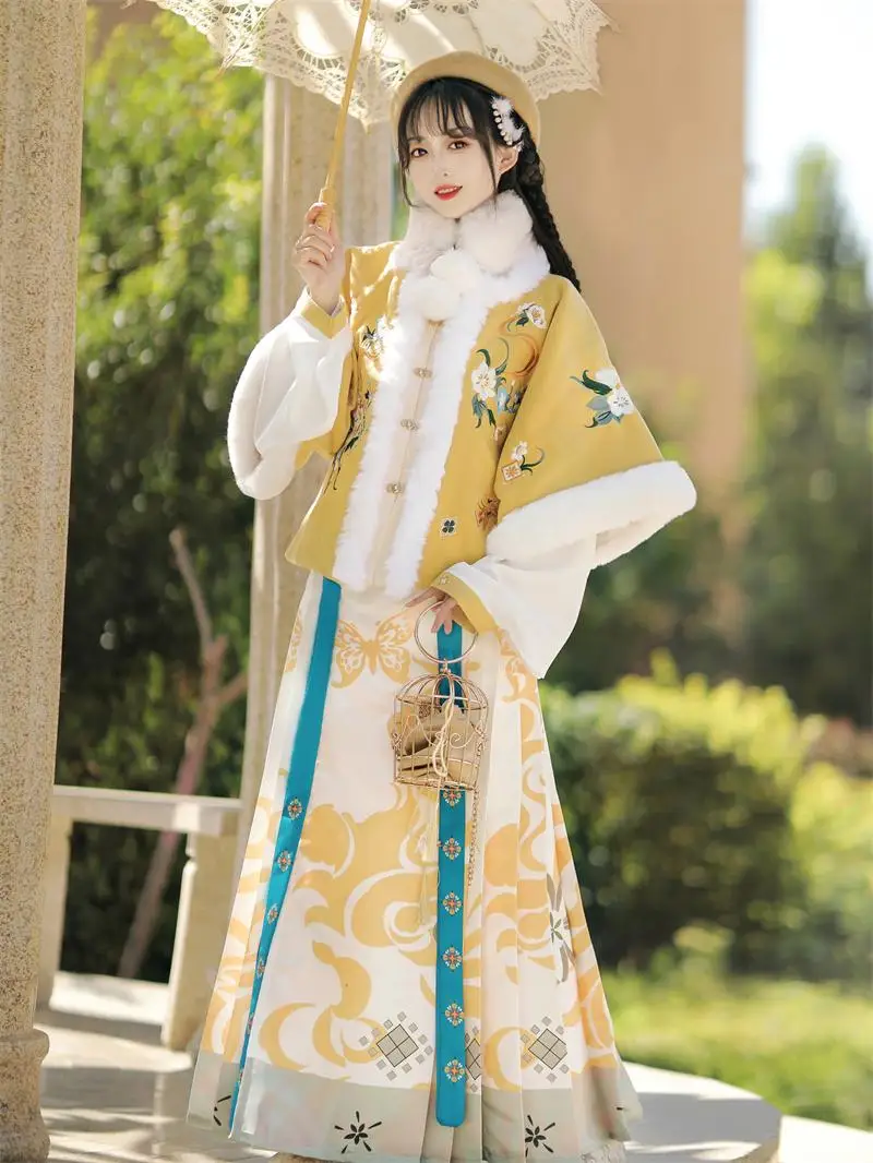 original-ming-dynas-hanfu-femmes-thiened-quotidien-ma-visage-jupe-ancien-costume-nouveaute-2025-saison-d'hiver-fibre-de-polyester