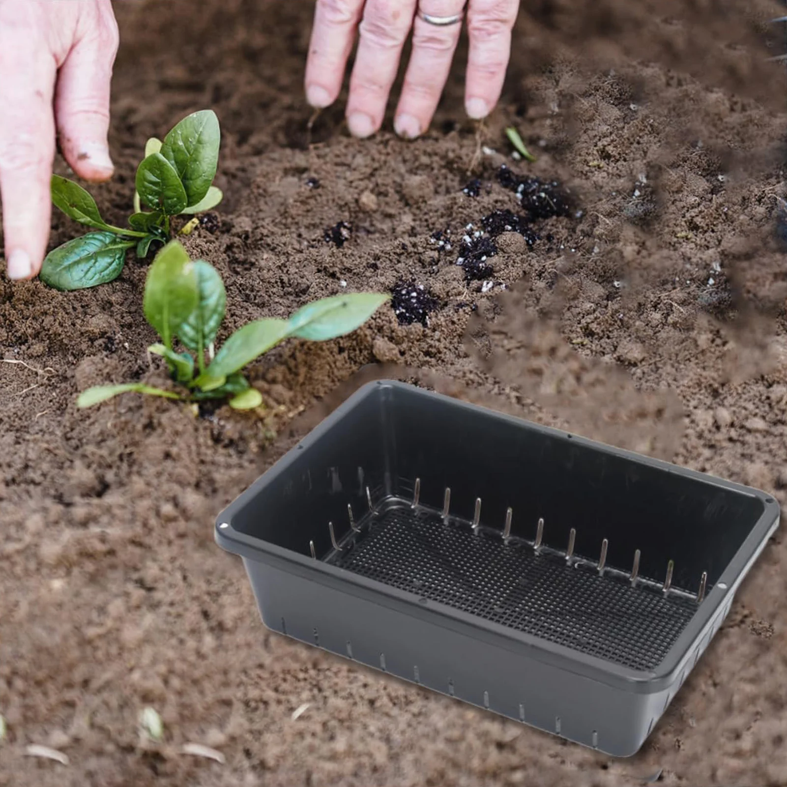 

5PCS Succulent Plants Seedling Tray Reusable Plastic Flower Vegetable Nursery Growing Pot Garden Large Rectangle Flowerpot