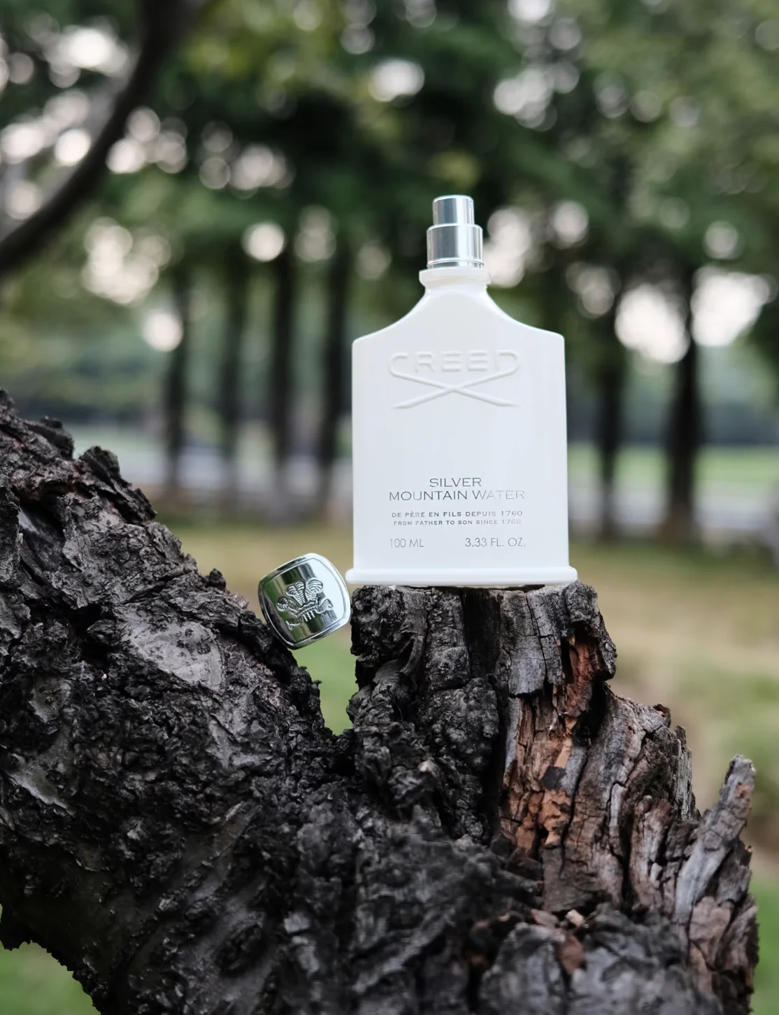 Parfum Silver Mountain Water t - Perfume Fragrance Levels ulasan dan harga