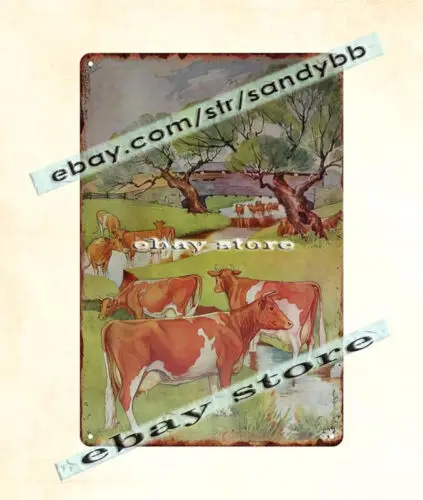 American Guernsey Cattle Club Dairy Council metal tin sign home interior design-Aluminum