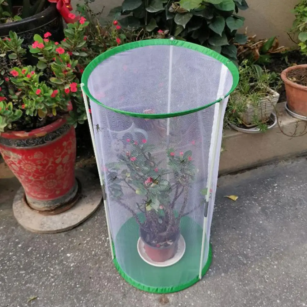 Vlinderkooi Ronde Cilinder Insectenobservatiekooi 30x60 Transparant Ademend Polyester Mesh Kweekcontainer