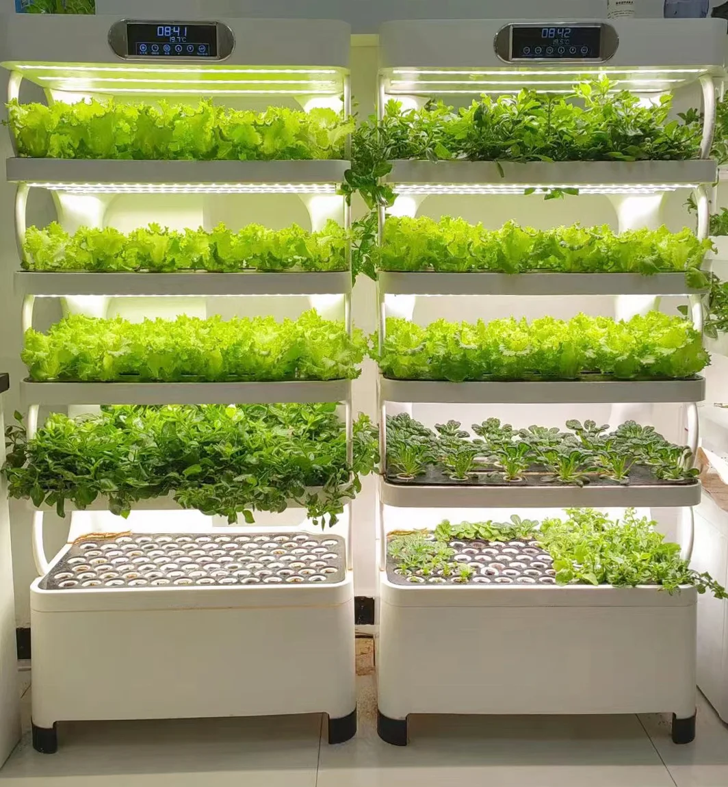 

Vertical Hydroponic Kit Hydroponics Growing System Indoor Home Smart Herb Garden Intelligente Microgreens Aquaponics Aeroponic