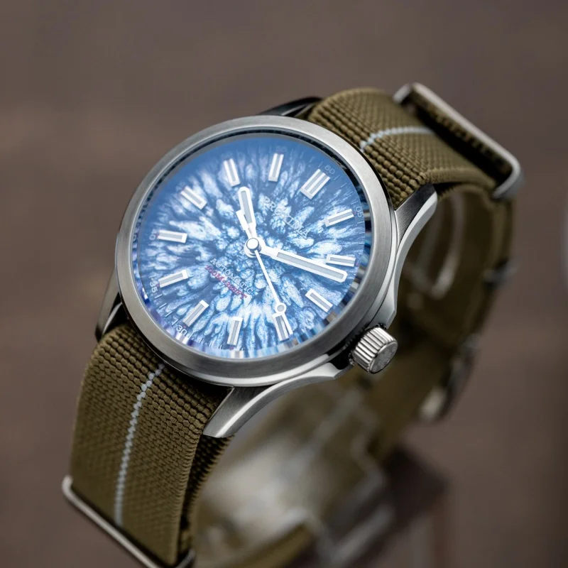 

PROXIMA Men Automatic Watch 39mm Mechanical Wristwatch Diver 10ATM Oil Pressure Dial Full Luminous Sapphire Miyota 9015