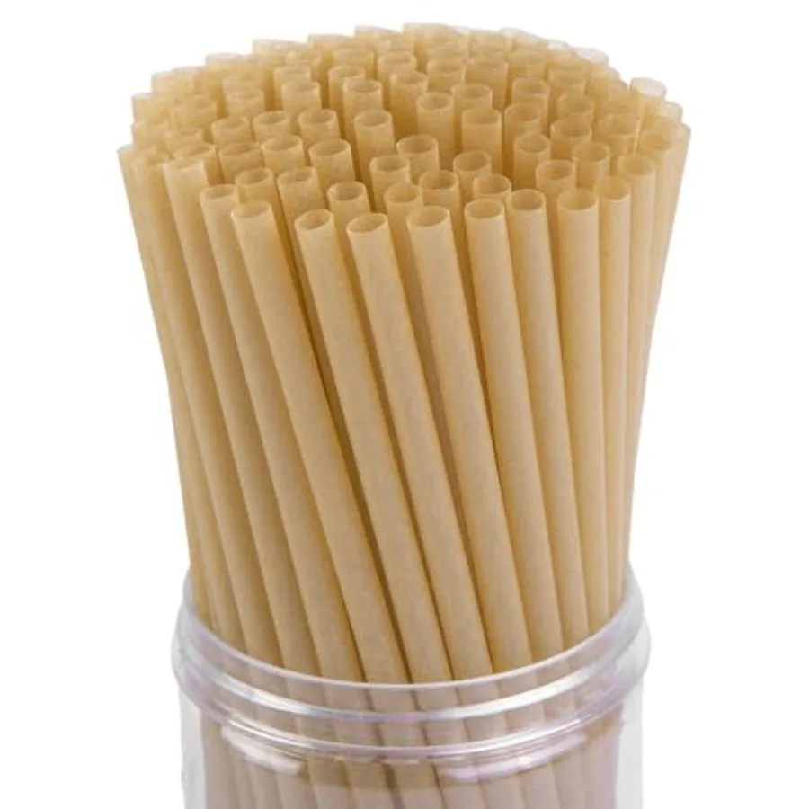 Sugarcane Straws, 200PCS Drink Straws Disposable for Hot Cold Drinks, Coffee, Cocktail, Juice Home Favor, The Beach Party, Natu