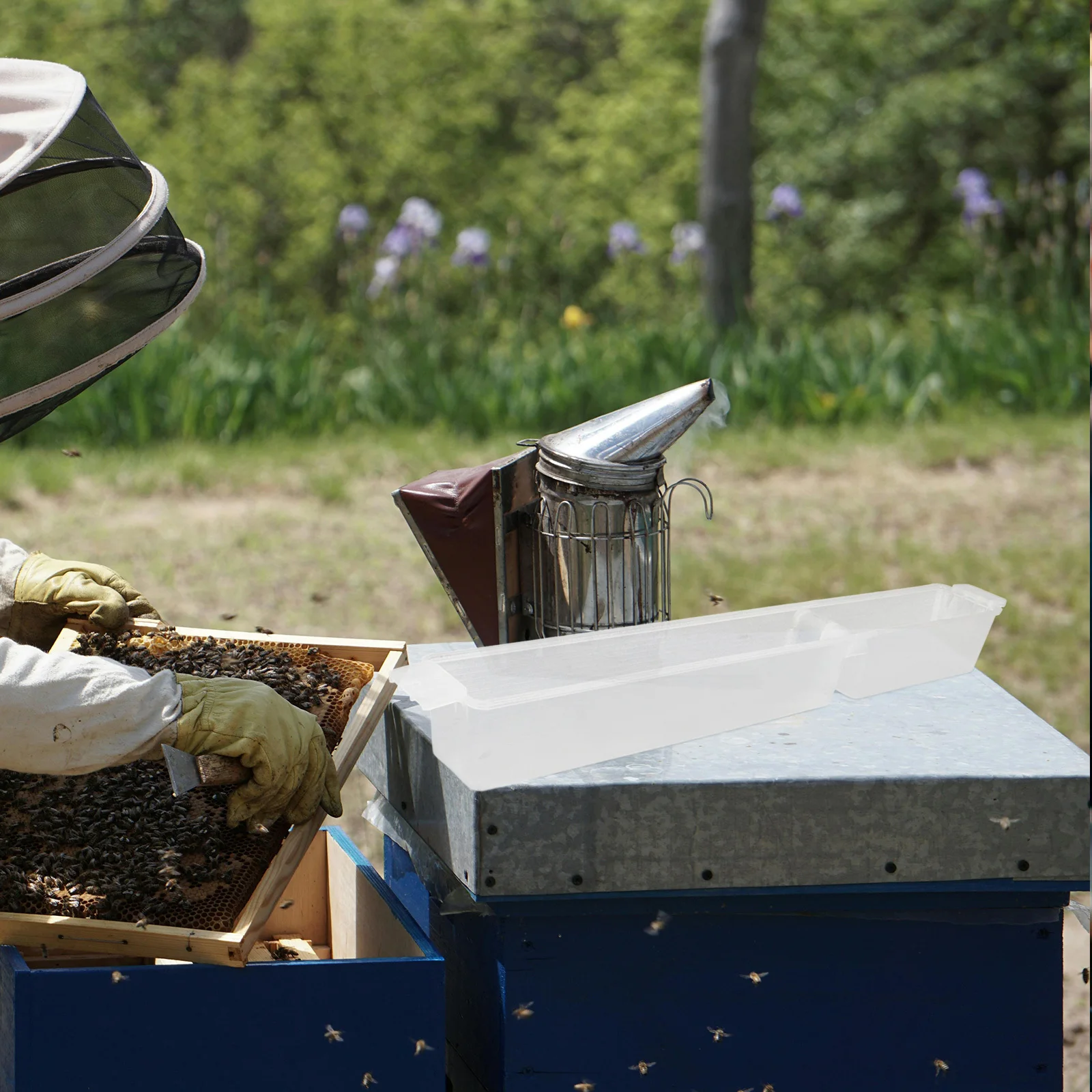 4 قطعة من البلاستيك النحل المغذية خلية التغذية أداة كفاءة تربية النحل سقي صينية لإدارة المستقبل الصحي خلية النحل المغذيات