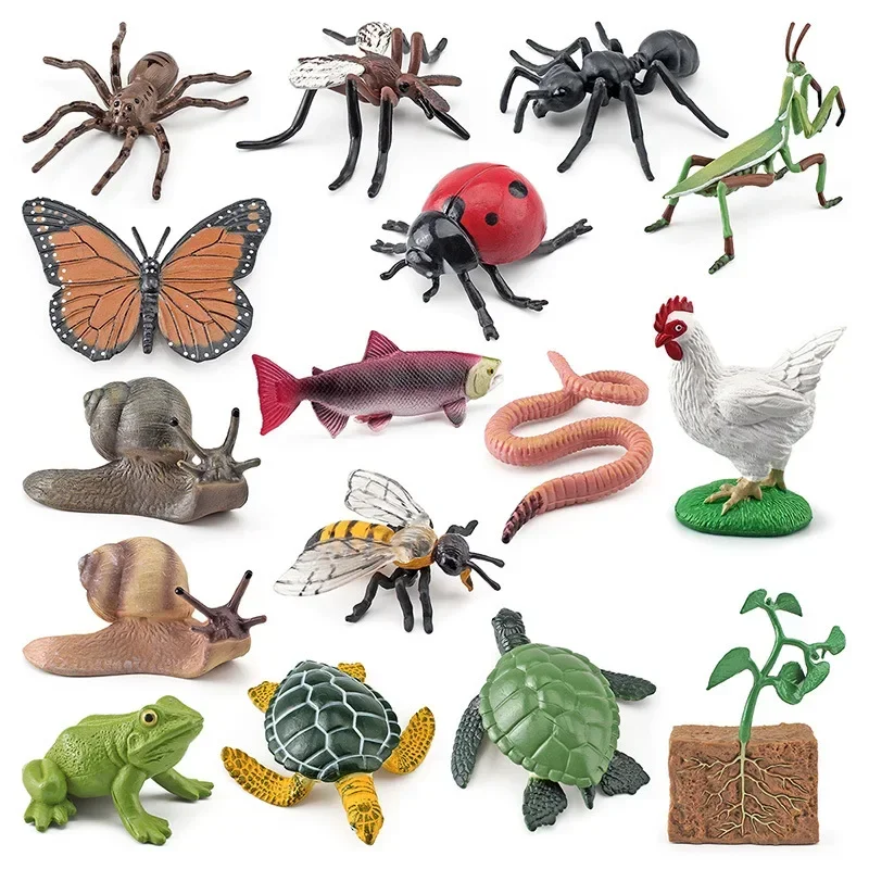 Simulation Mini Animals Growth Cycle Set and Cycle Card Montessori Teaching Aids Frog Turtle Chicken Model Action Figures Toys