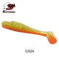 CA24