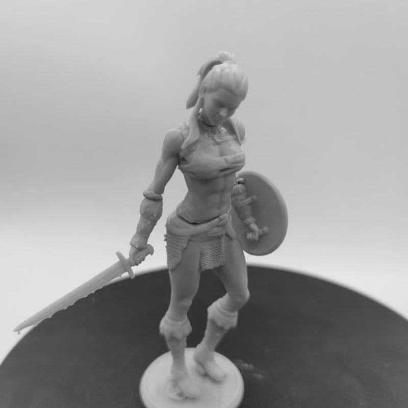 Female Warrior Diy Resin Figure 1/24 Scale 75mm Vertical Height Assemble Model Kit Unassembled Dioramas Unpainted Statuettes Toy