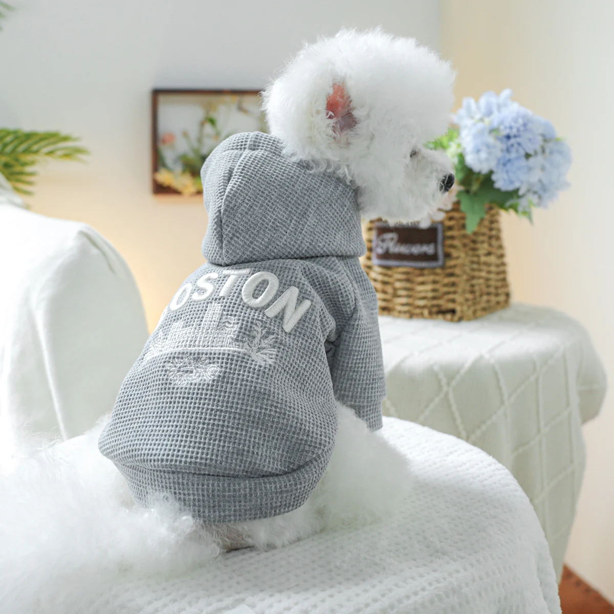 1PC Pet Clothing Spring and Autumn Fleece Grey Boston Hat Coat Suitable for Small and Medium sized Dogs