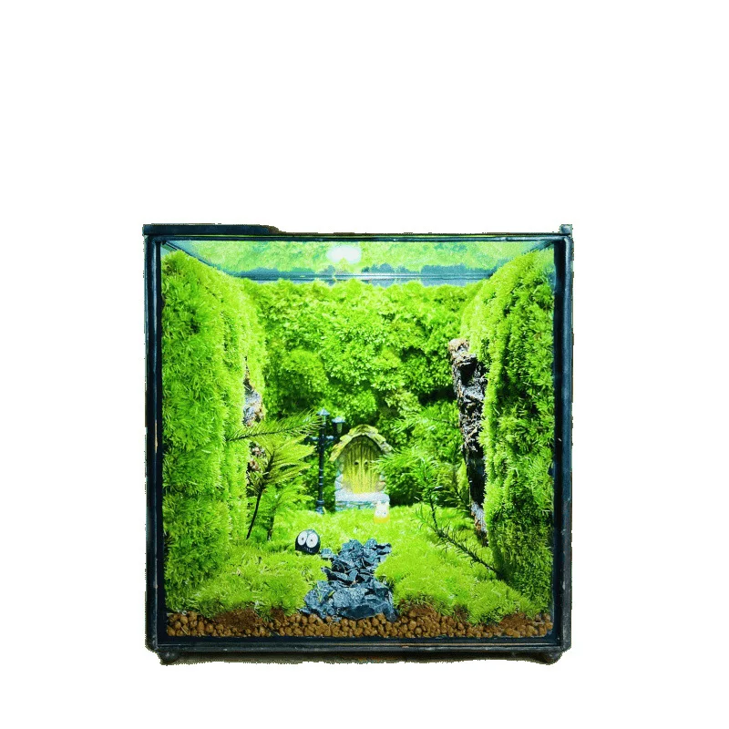 

Internet celebrity desktop ornament creative micro landscape stuffy green plants moss ecological stuffy box