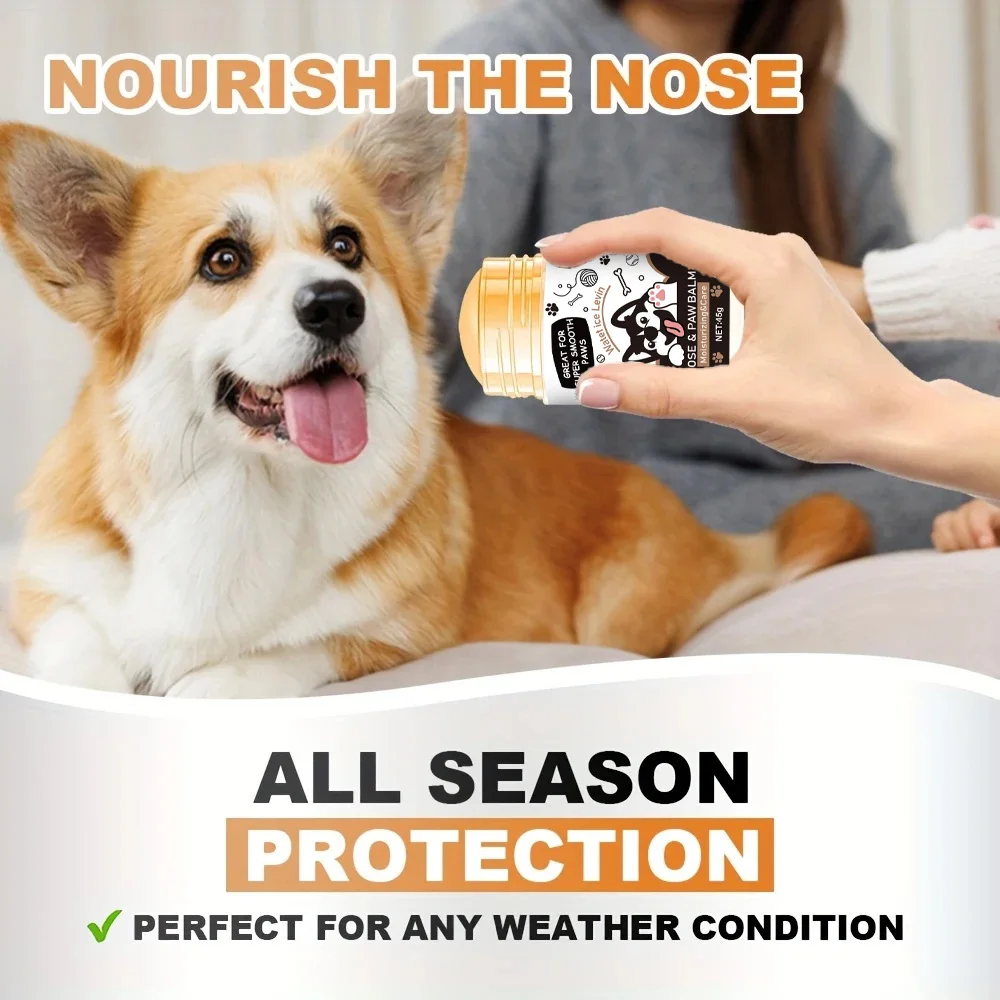 Dog Paw Balm Review 2025: Is It Worth Buying? 1