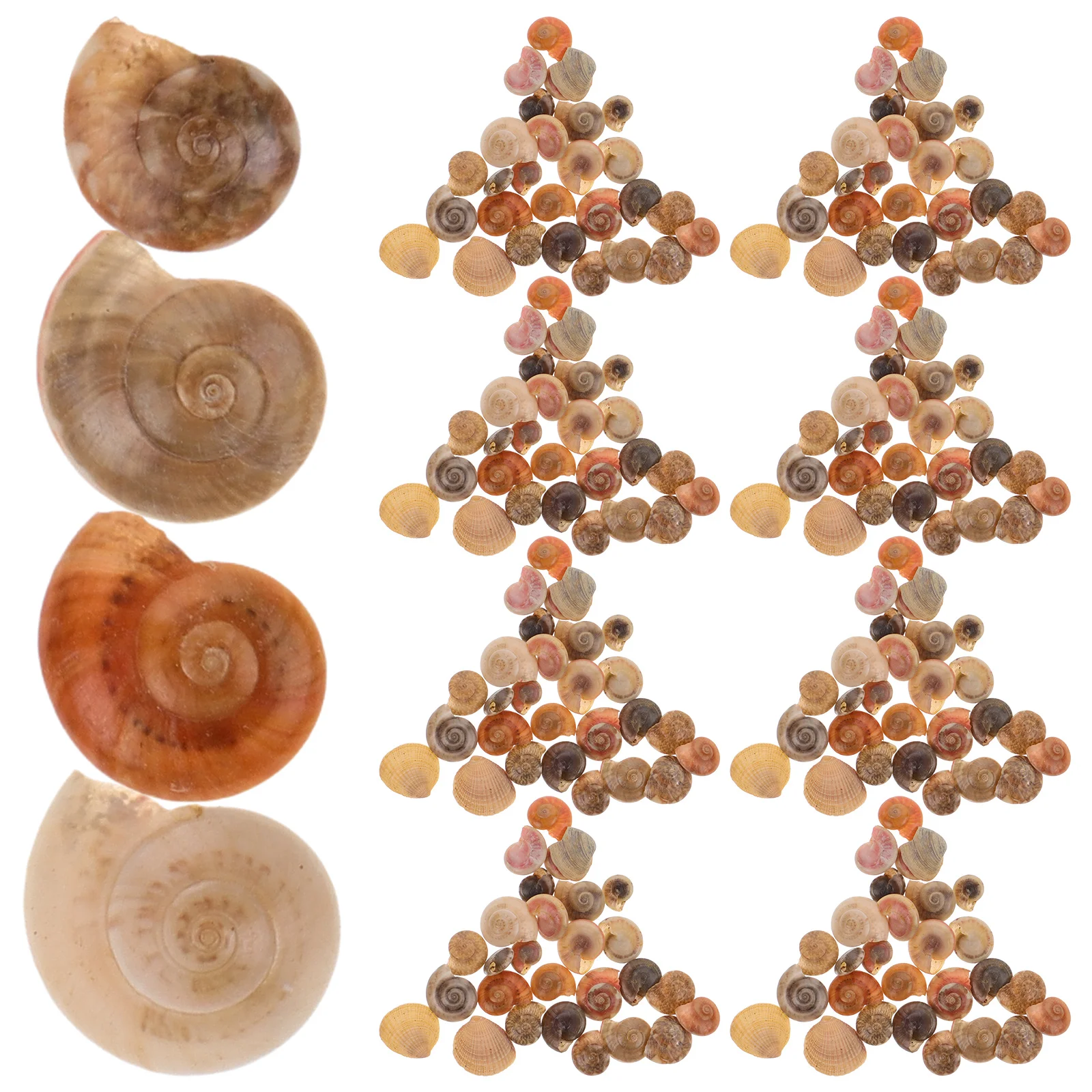 

Natural Snail Shell Accessories for Micro L Decor Light Weight Safe DIY Pendant Necklace Earrings Keychain Small Snail