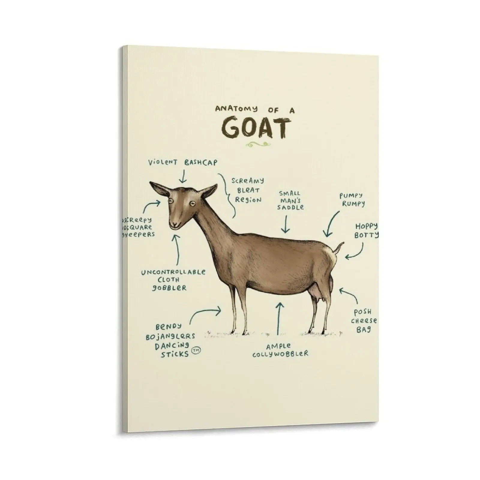 

Anatomy of a Goat Canvas Painting wall art canvas painting Paintings Luxury living room decoration