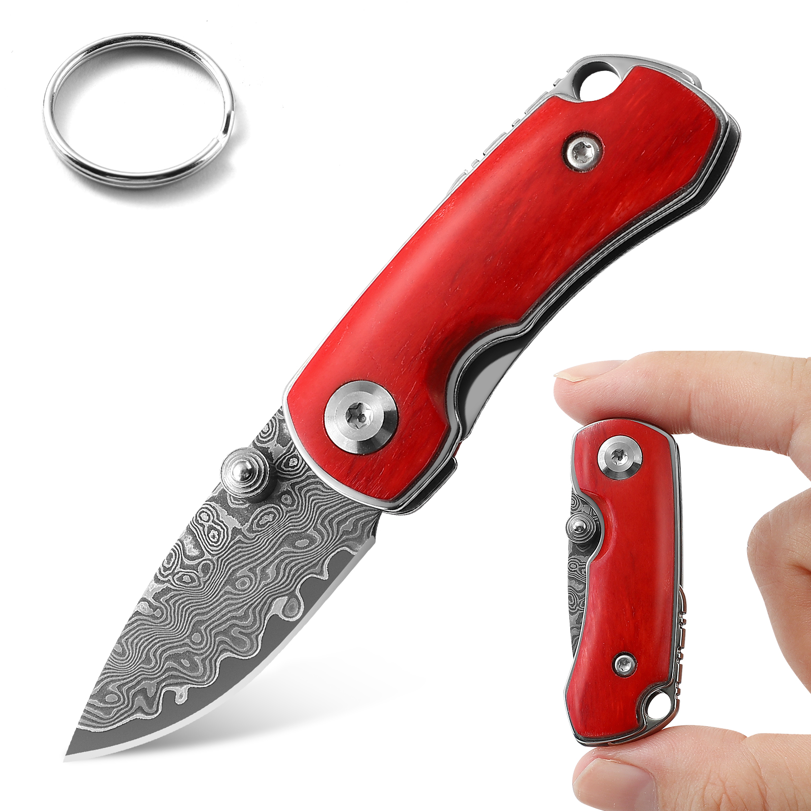 Damascus Small Folding Knife Vg10 Steel Core Mini Pocket Knife Beef Bone Handle EDC Key Knife For Men Women With Gift Box