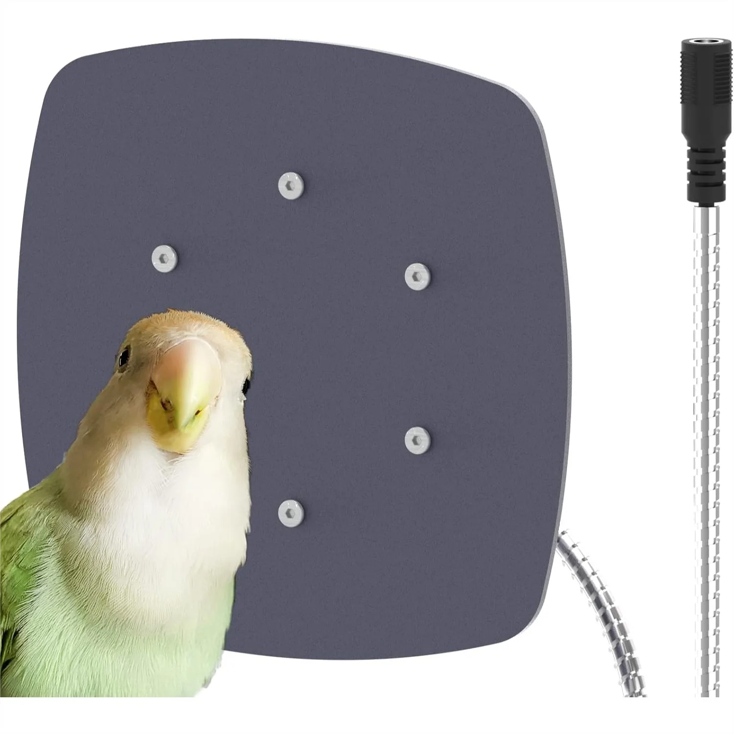 

Bird Heater for Parakeets, IP67 Waterproof Thermostatical Bird Warmer, 12V Safe Cage Accessories