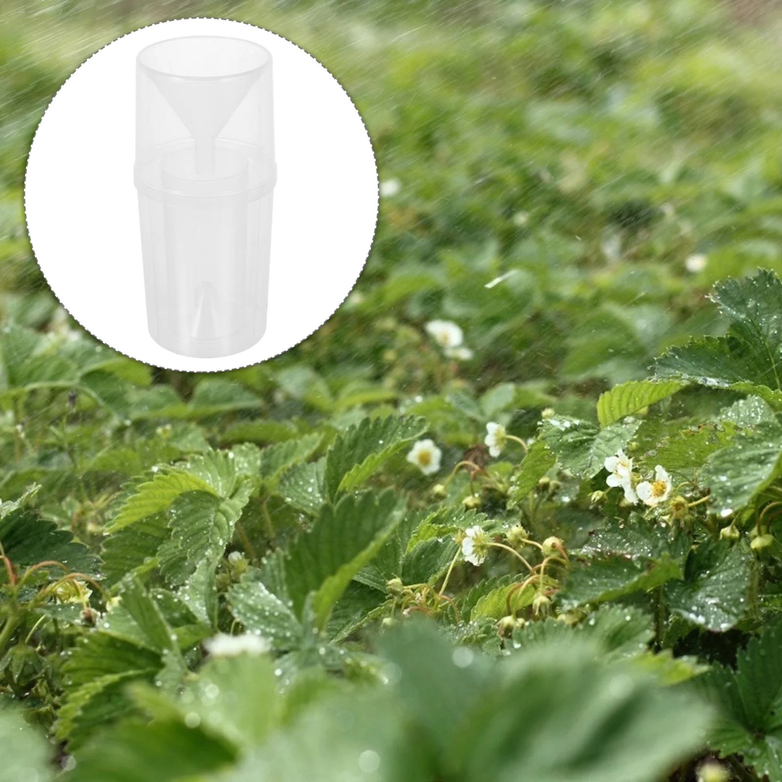 

1Pcs Professional Accurate Rain Gauge for Garden Yard Watering Rate Measurement and Collection Garden Water Gauge