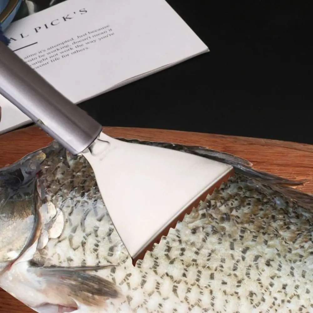 Stainless Steel Fish Scale Remover Smooth Handle Easy Maneuverability Fish Scale Scraper Seafood Tools Seafood Tools