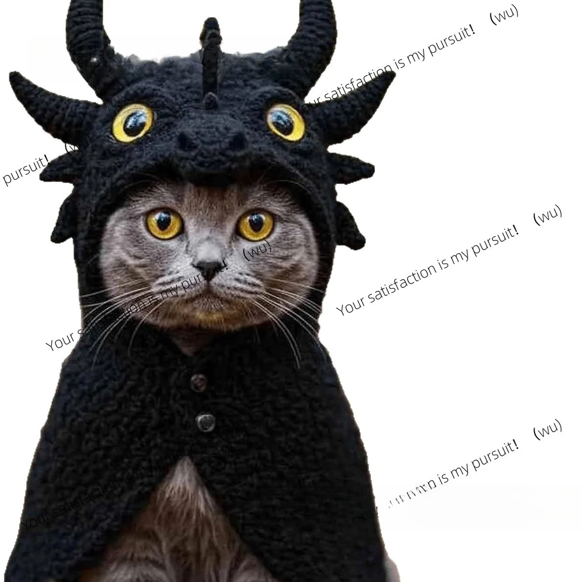 DIY Dragon Cat Hoodie setDIY pet cute chinchilla hoodie set