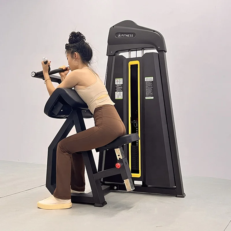 

Ergonomically Designed Biceps Exercise Machine Bicep Workout Equipment Commercial Bicep Trainer for Gyms