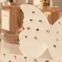 

Jewelry Display Rack Acrylic 9 11 13 20 21 Hole Clear Organizer Board for Earrings Accessories Home Vanity Table