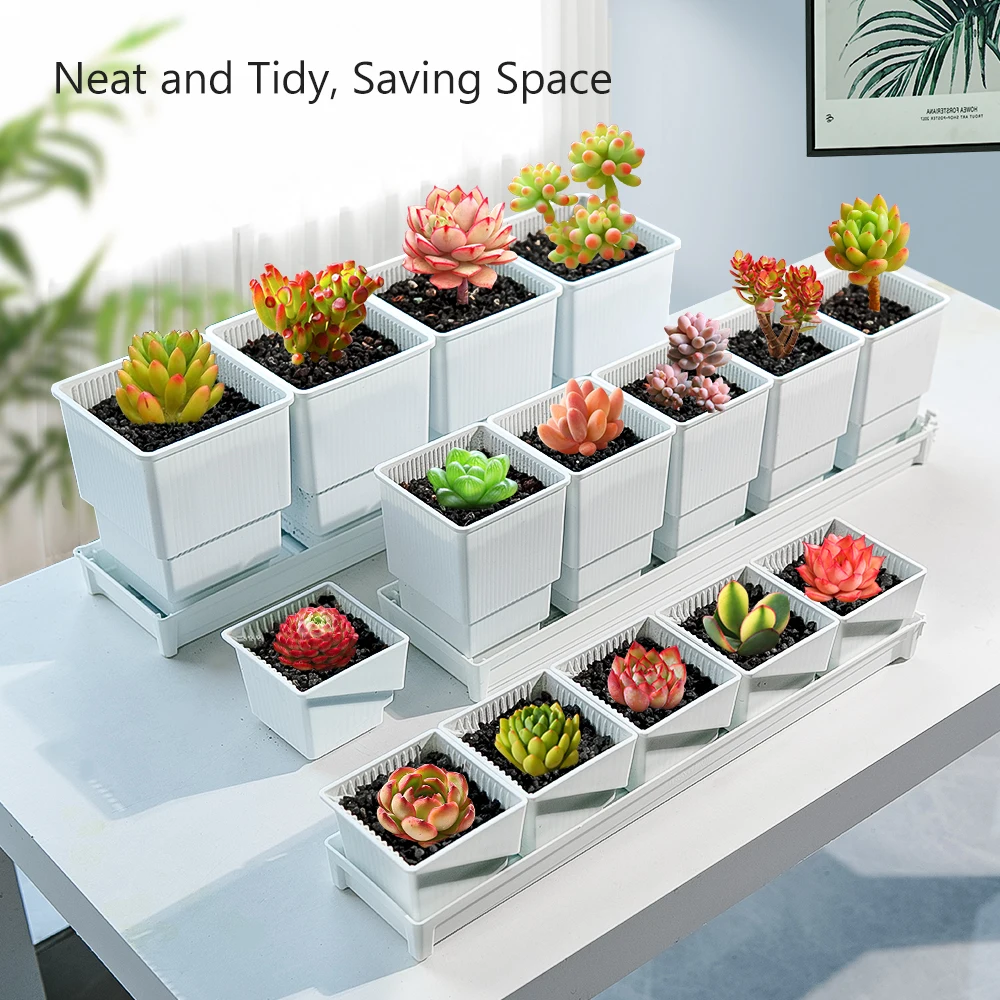 Meshpot Succulent Planters Pot,Succulent Pots with Tray Plastic Cactus Haworthia Pots with Drainage Square Plants Nursery Pot