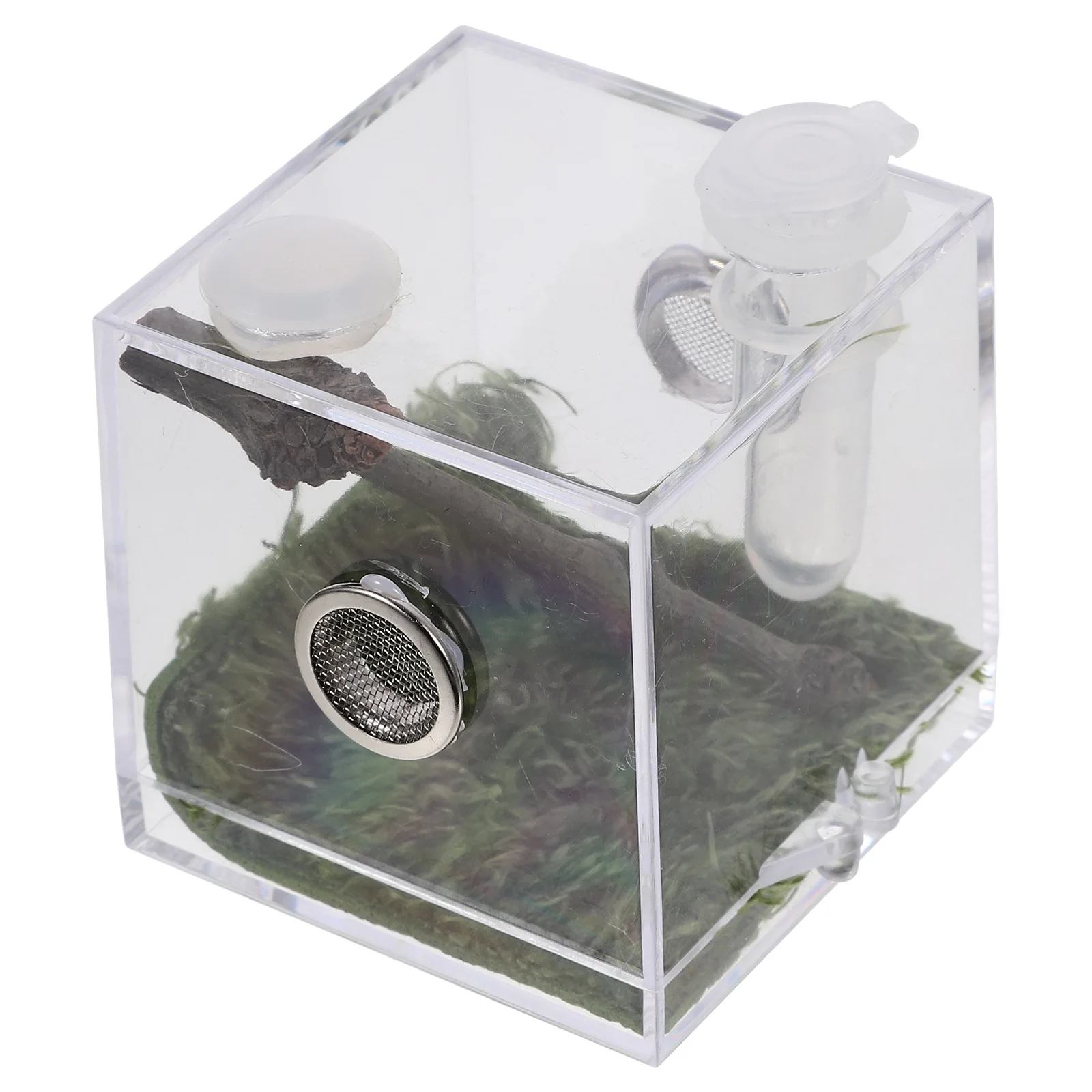 

Transparent Jumping Spider Enclosure Acrylic Snail Container Breeding Box Lightweight Compact Reptile Habitat Cage Pet