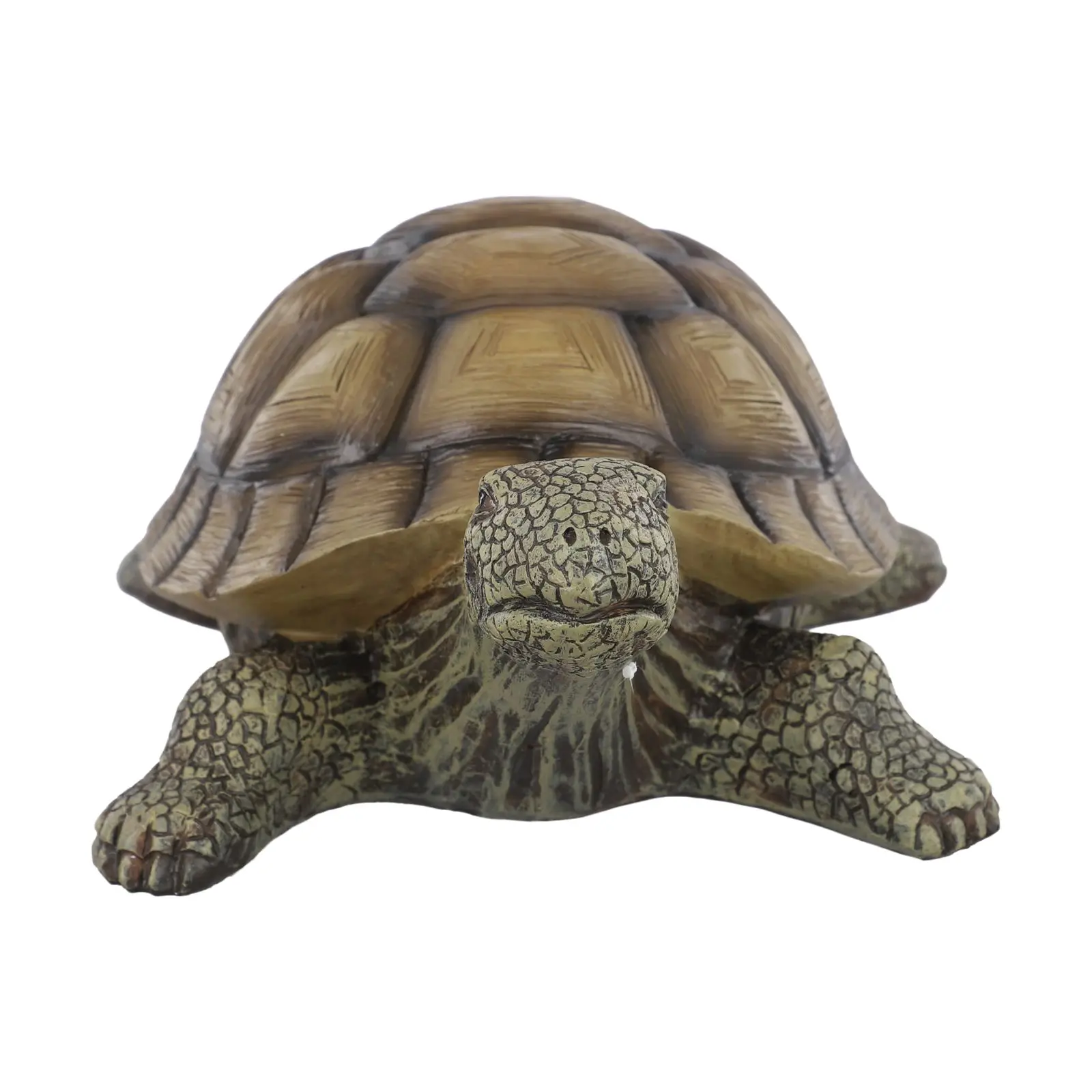 Decorative Crafts Garden Turtle Garden Setting Easy Placement Lightweight Design Long-lasting Material Meticulous Workmanship