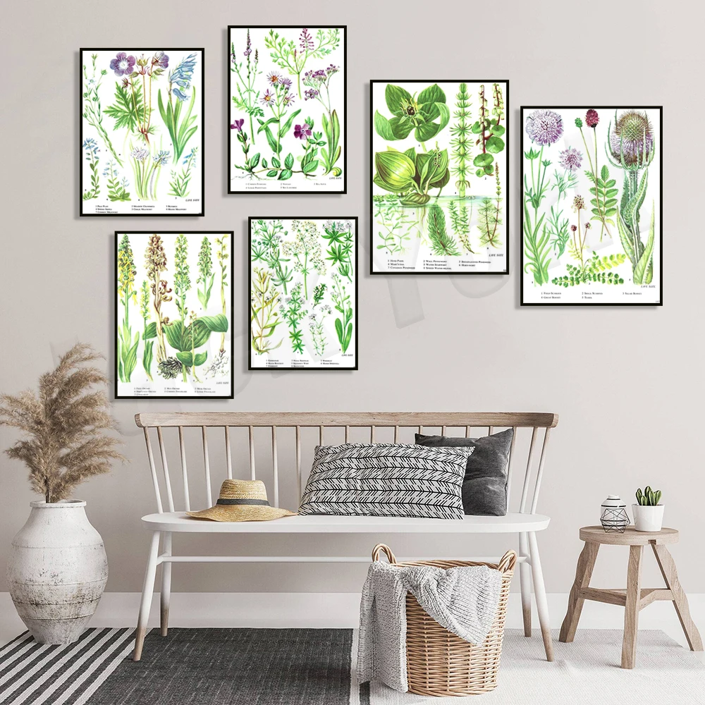 Floral Poster, Thistle, Rudder, Mignonette, Orchid, Foie Gras, Frog Orchid, Mistletoe, Berries, Verbena, Bellflower Botanical Ar
