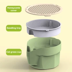 Caja hidropónica para hierba de gato, recipiente con contraste de Color para plantación de menta