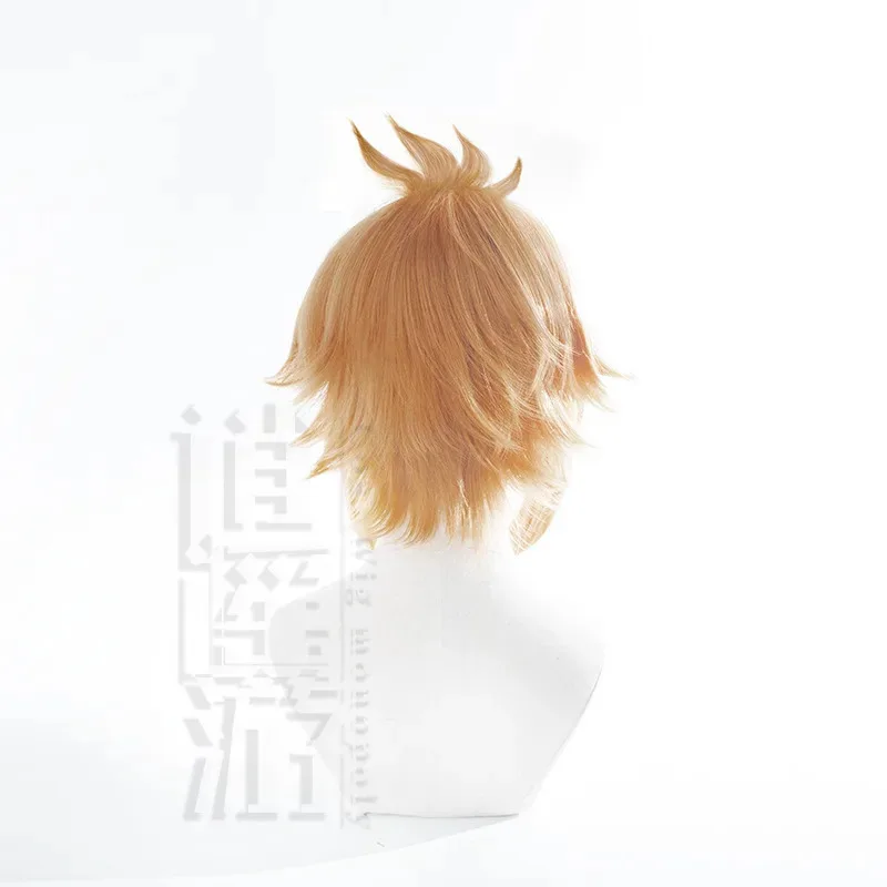 

qq34Anime Gorou Cos 45 см двухцветные короткие термостойкие синтетические волосы Хэллоуин вечерние парики для косплея + шапочка для парика