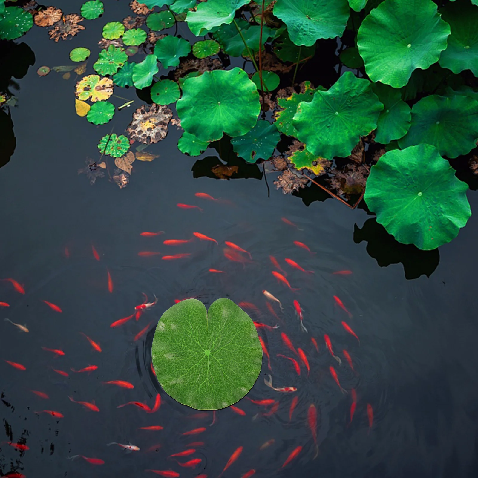 

6 Pcs Simulation Lotus Decoration Aquarium Artificial Pond Plants Decorations Floating for Accessories Water Tank