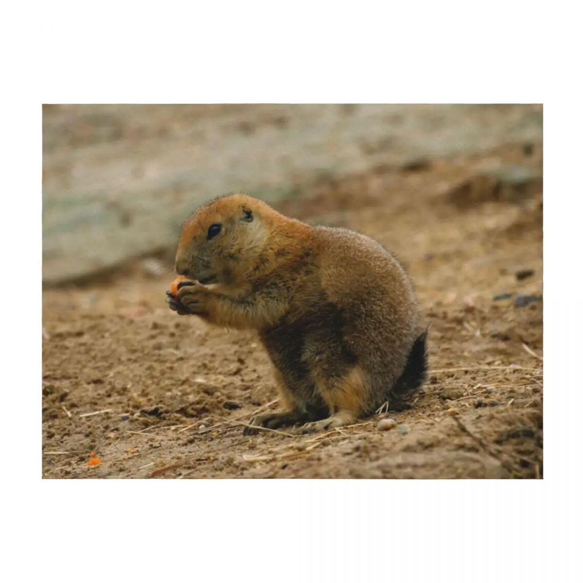 

Prairie dog eating a carrot Throw Blanket Plush Decoratives Bed linens Tourist Blankets