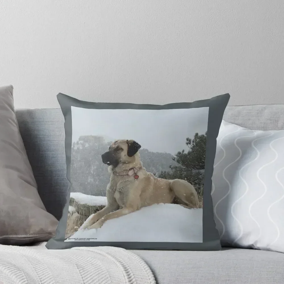 

Anatolian Shepherd Dog on Guard Throw Pillow Pillowcase Luxury Sofa Cushions pillow