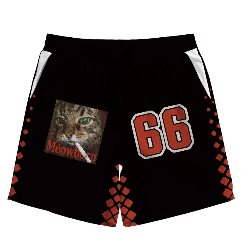 Street Trendy Retro Funny Raccoon Cat 3D Printing Casual Sports Breathable Training Men and Women Daily Shorts