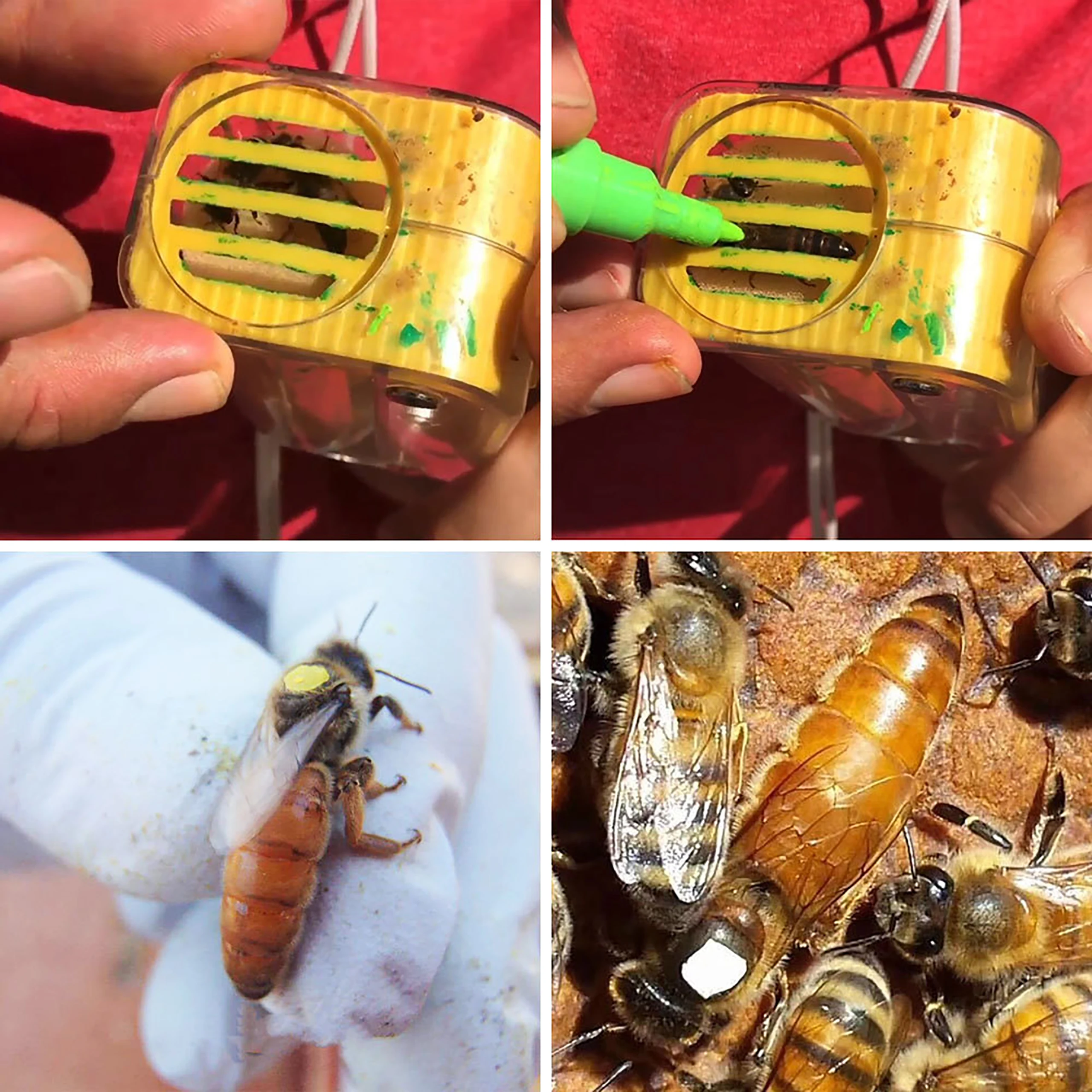 Bee Queen Marker Bottle Bee Mark Cage Making Highlight Pen One Handed Marking Catcher With Plunger Plush Beekeeping Supplies