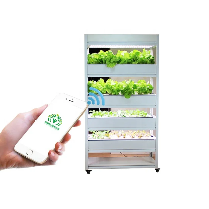 New Product Garden Greenhouse Grow Vertical Cabinet Hydroponic System Grow Box
