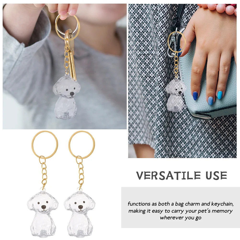 2 шт., коробка на память из шерсти домашних животных, прозрачный дизайн, мемориальный брелок для собаки, сумка для длительного хранения, очаровательная урна для кремации, альтернатива