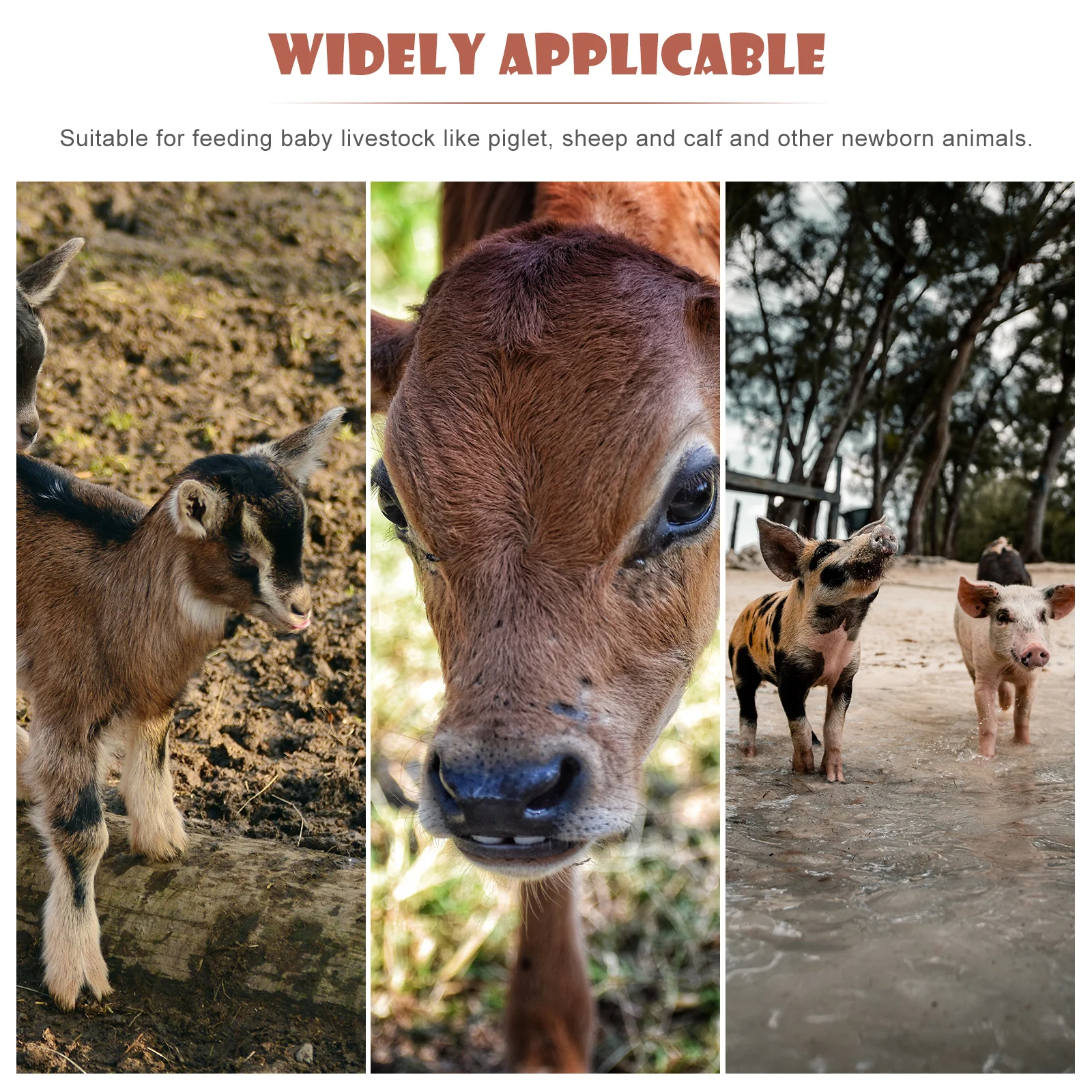 

10Pcs Lamb Feeding Nipples Smooth Surface Convenient Clean Suitable Piglet Calf Sheep Lamb Feeding Nipples Silicone Sheep