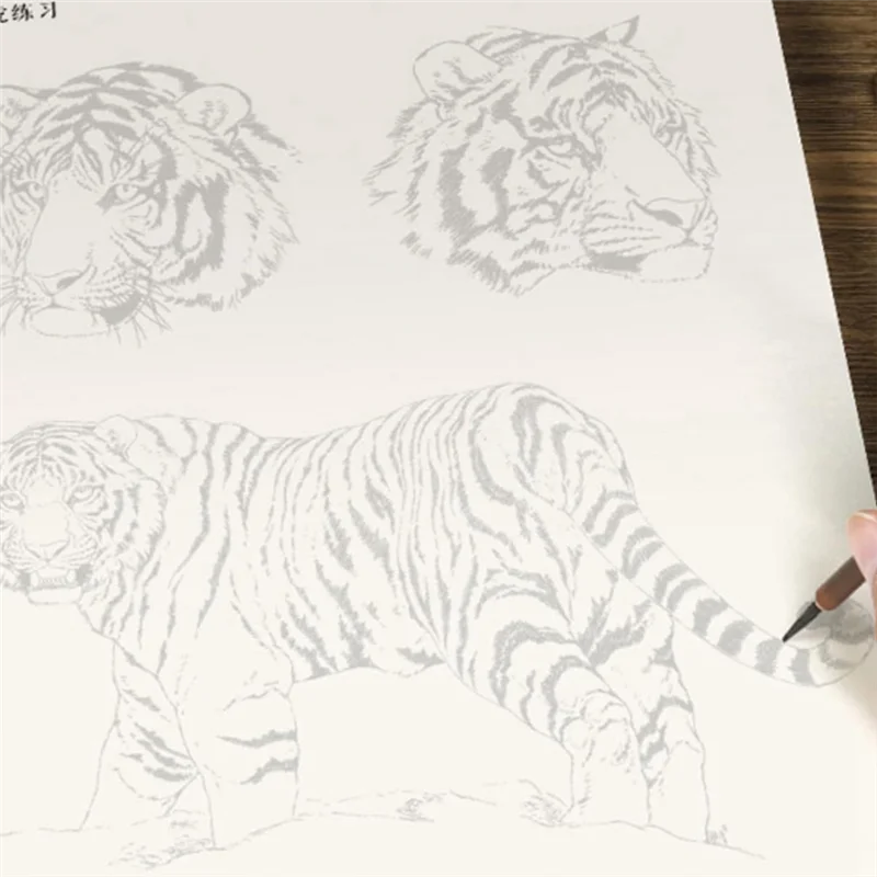 AF90-4 pezzi/set Introduzione alla pittura cinese e libro da disegno bianco per la introduzione di paesaggi animali floreali ai principianti