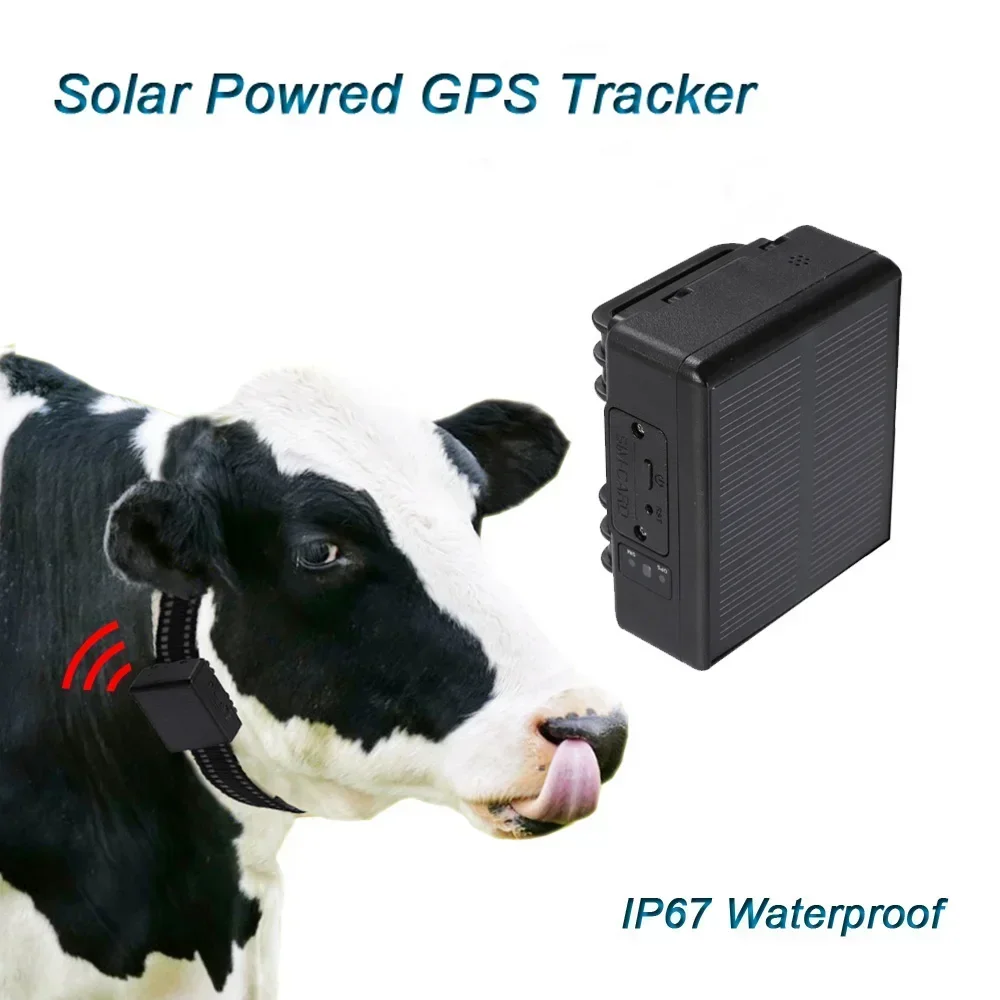 Solar GPS Locator for Animals Anti-removal Alarm Portable WiFi GPS Tracker Anti-lost Tracking Device for Cow Cattle Sheep Horses