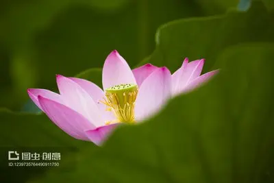 

Car Sun Visor For VW Volkswagen Scirocco 2008~2017 2015 MK3 Front Windshield Sunshade Heat Insulation Summer Auto Accessories