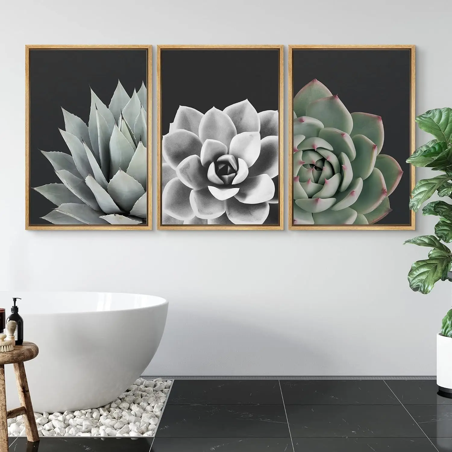 Framed Wall Art Print Set Desert Rose Echeveria Succulent Set Plants Photography Modern Art