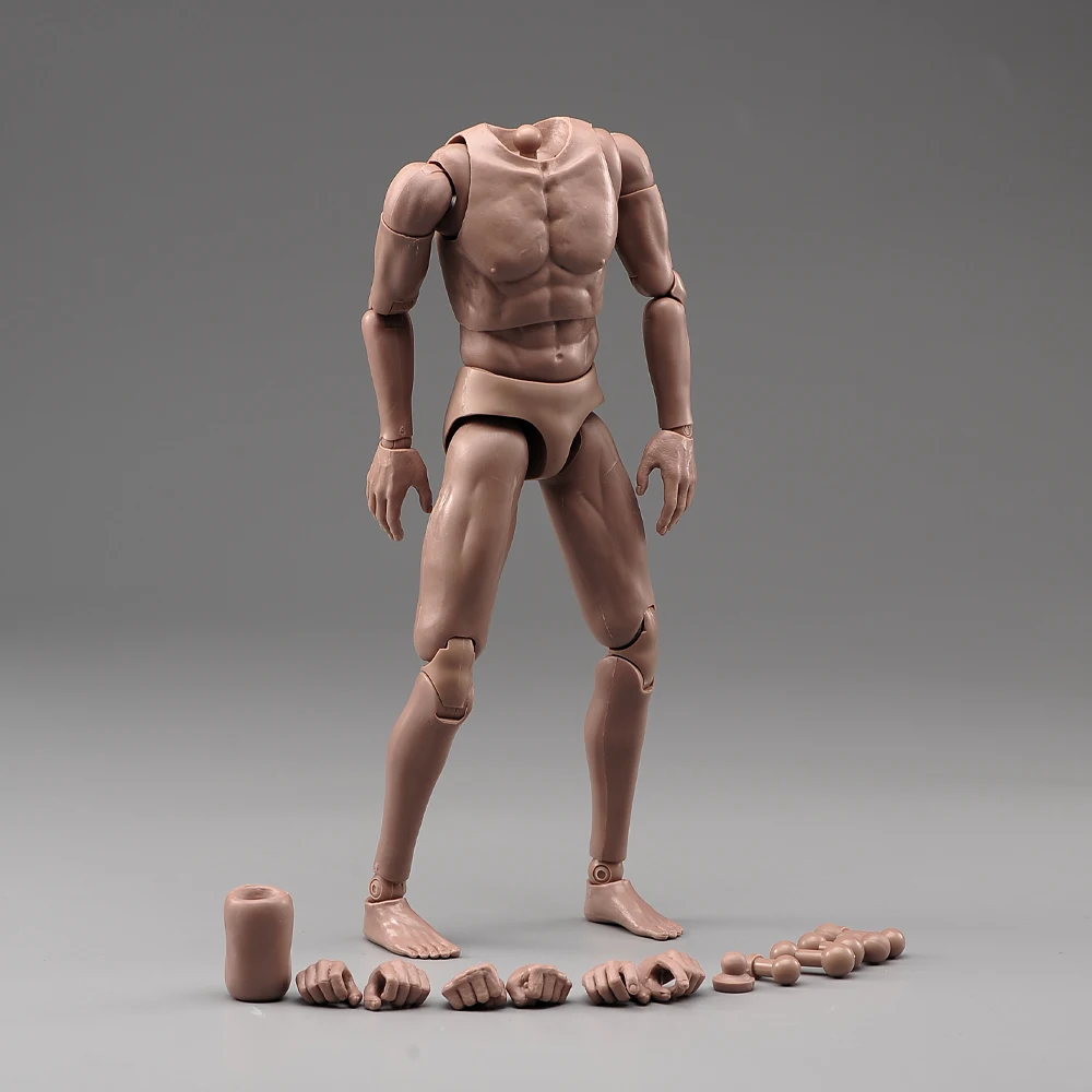TQ210 TQ220 TQ230 1/6 Mannelijke Normale Spiergewricht Lichaam 12 ''Soldaat Flexibele Action Figure Body Poppen voor 1:6 Hoofdsculpturen