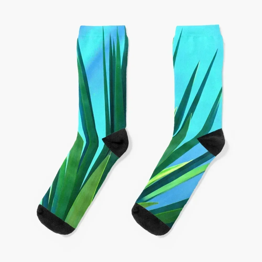 

Exotic Succulent Leaves Illuminated By Fantasy Blue Moonlight Socks christmas gifts set Mens Socks Women's