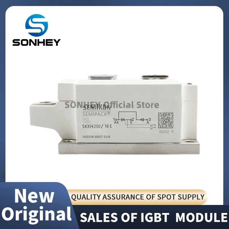 

SKKH250/18E SKKH250/16E SKKT273/16E SKKH280/18E SKKT323/16E Original IGBT Module