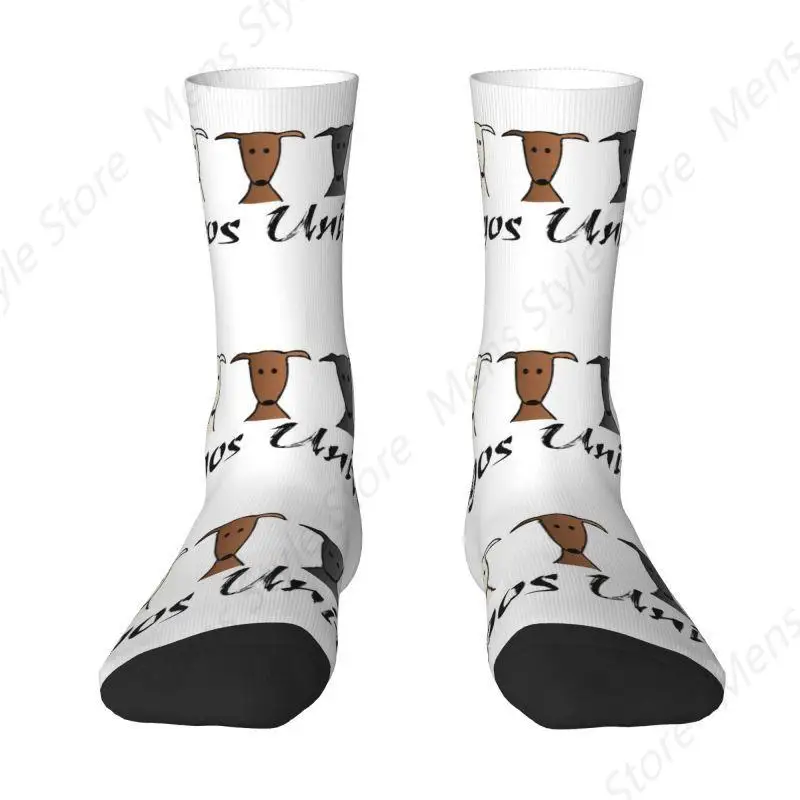 Cute Mens Galgos United Greyhound Dress Socks Unisex Warm Breathbale 3D Print Sighthound Whippet Dog Crew Socks