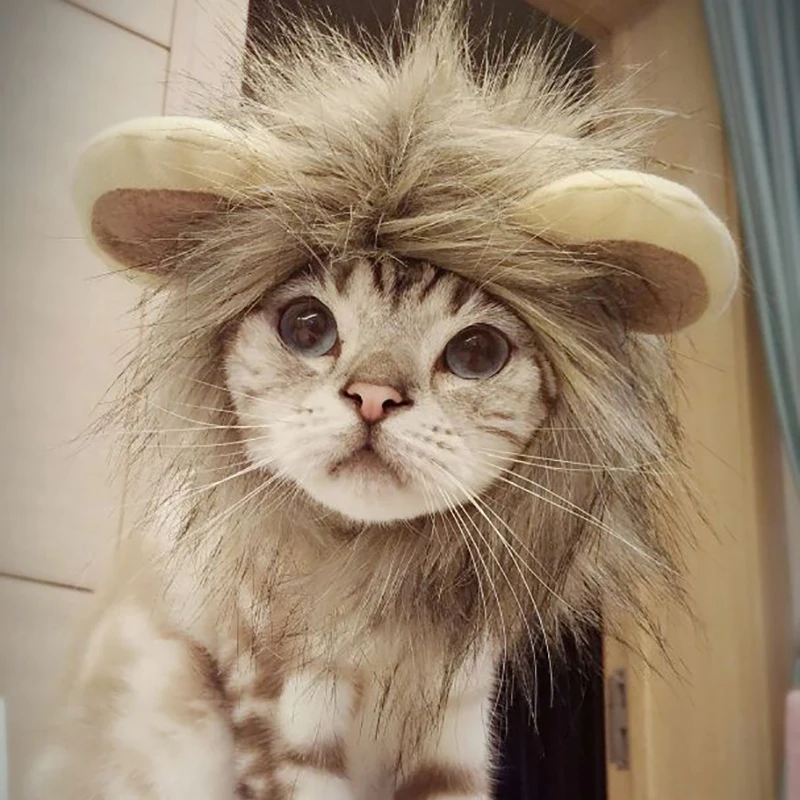 Funny Cute Pet Costume Cosplay The Lion Small Ears Wig Cap Hat for Cat Halloween Clothes Fancy Hat